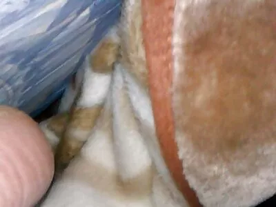 Baiser avec un membre de video anal vintage longue date