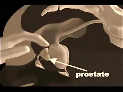 Beauté film de sex anal blonde chevauche la bite de l'homme