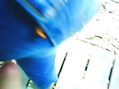 L'homme a léché le sex film anal clitoris de sa femme.