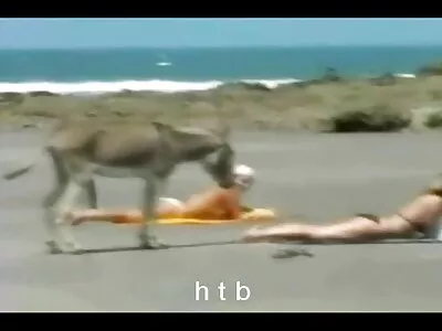 Vilaine fille baise et éjacule first anal film dans un baiser.