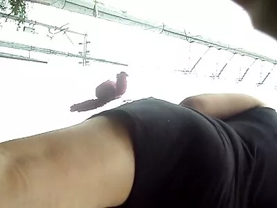 Une femme analsexfilm inspirée baise une bite avec les mains de son amie